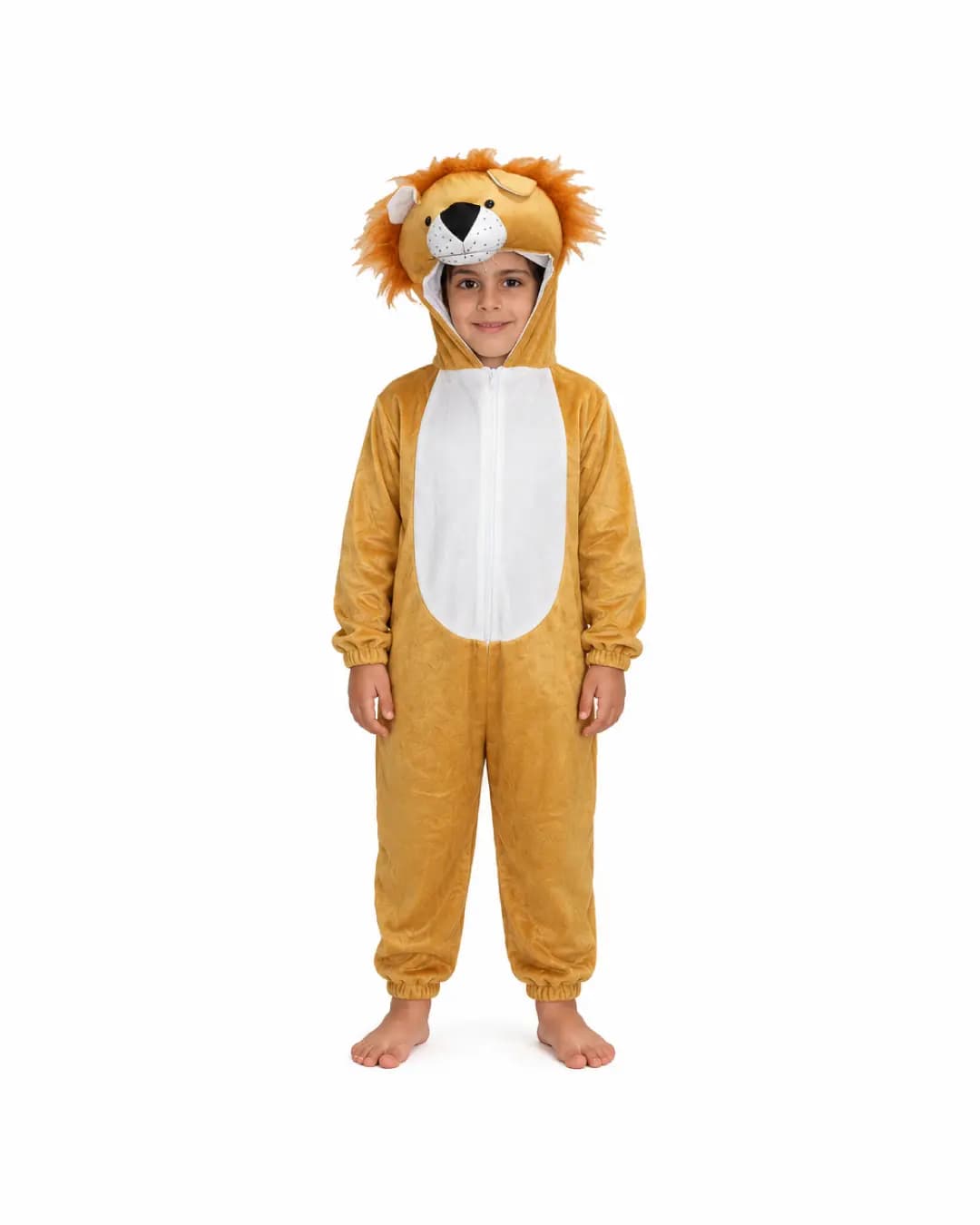 Lion Fancy Dress