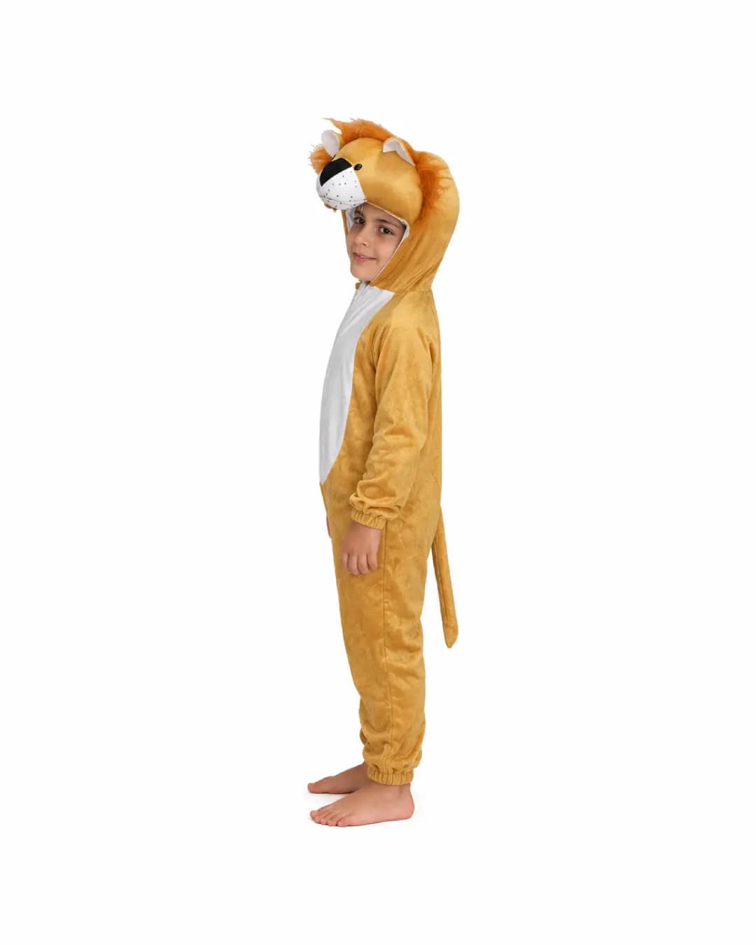 Lion Fancy Dress thumbnail 2