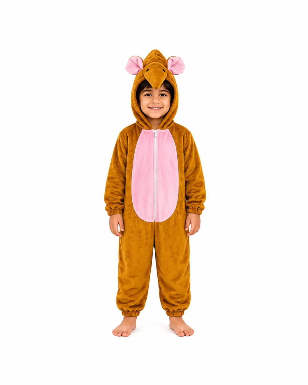 Brown Mouse Fancy Dress