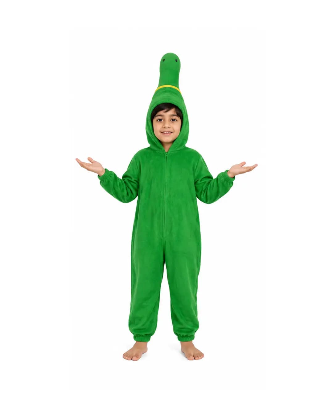Turtle Fancy Dress