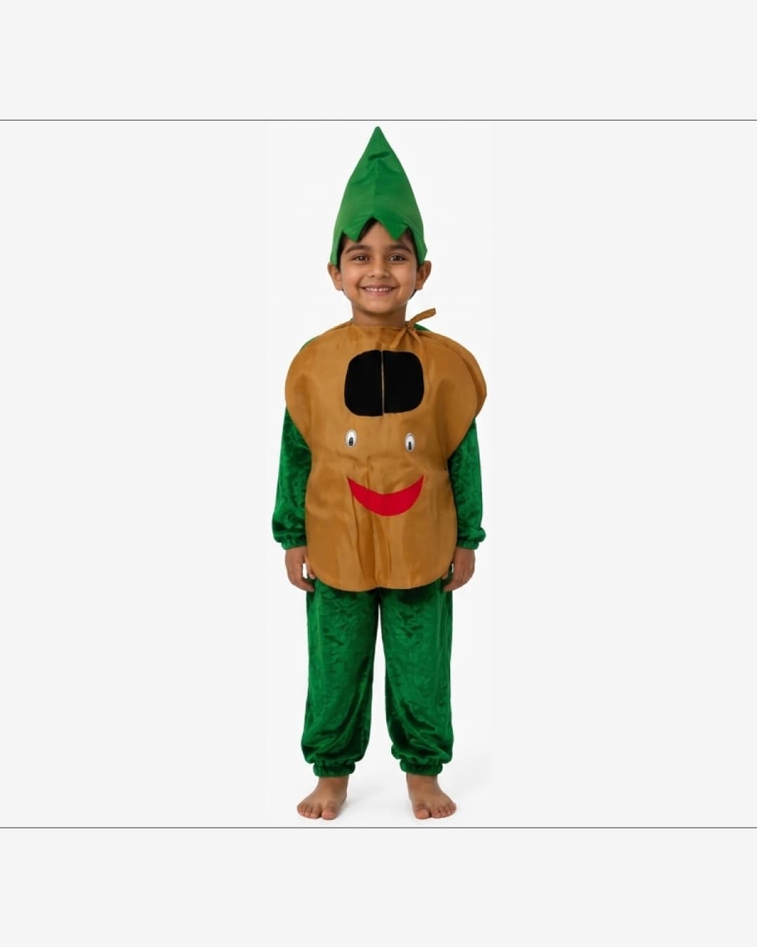 Chikoo Fruit Fancy Dress