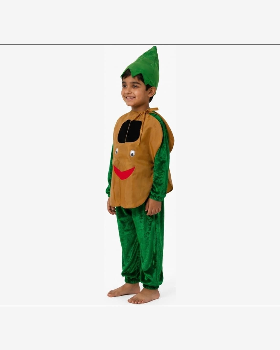 Chikoo Fruit Fancy Dress thumbnail 2