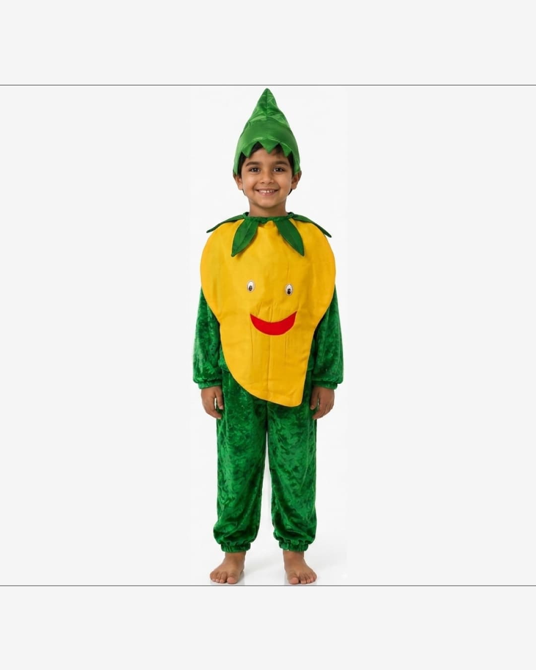 Mango Fruit Fancy Dress