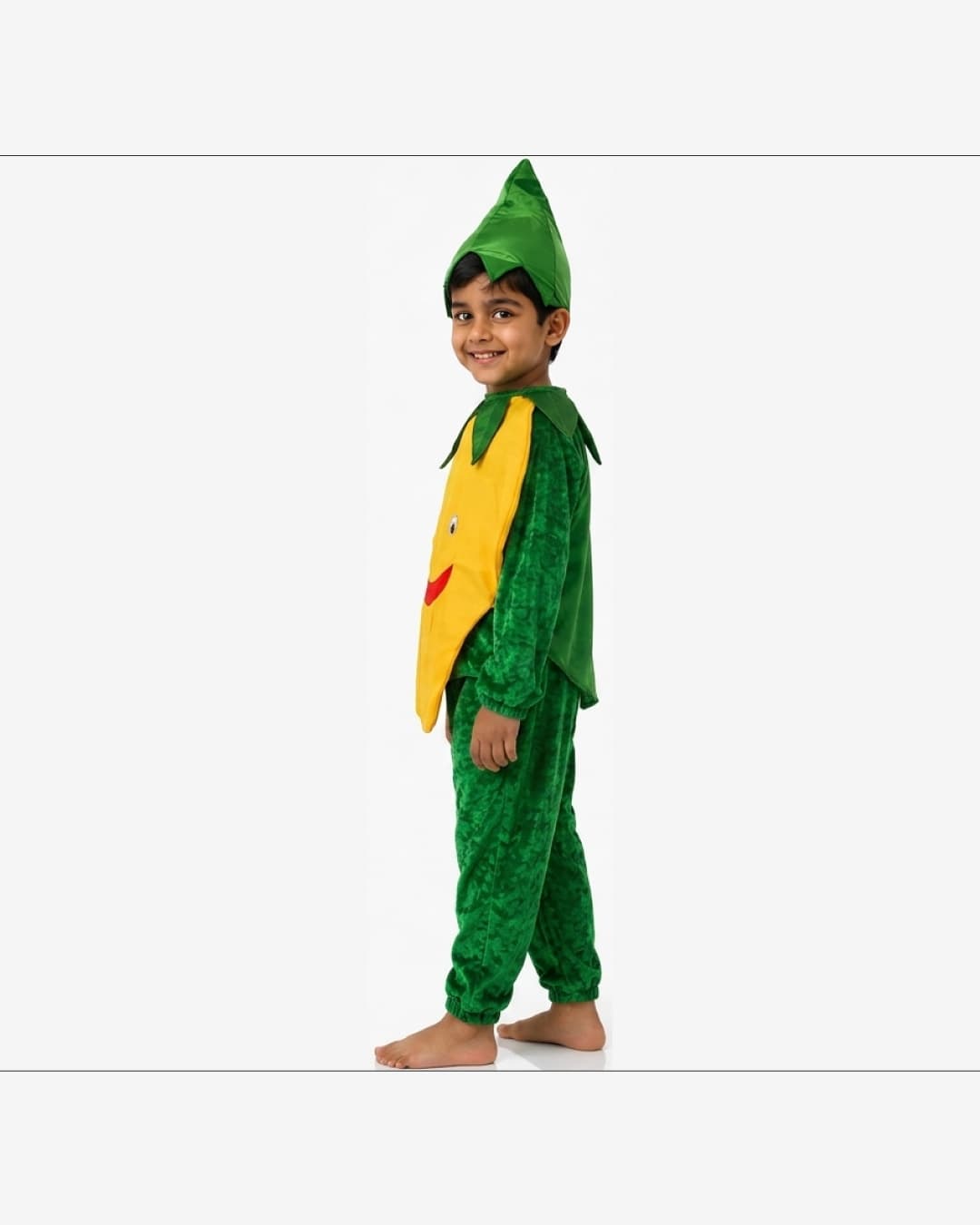 Mango Fruit Fancy Dress thumbnail 2