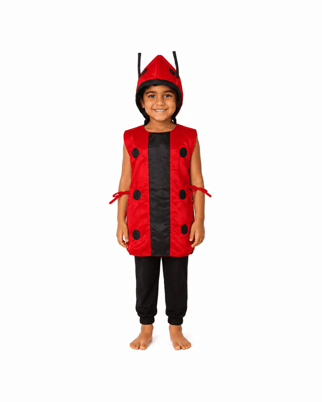 Ladybug Fancy Dress