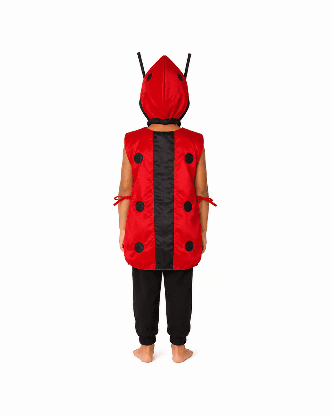 Ladybug Fancy Dress thumbnail 2