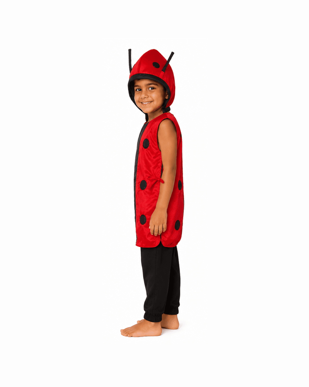 Ladybug Fancy Dress thumbnail 3