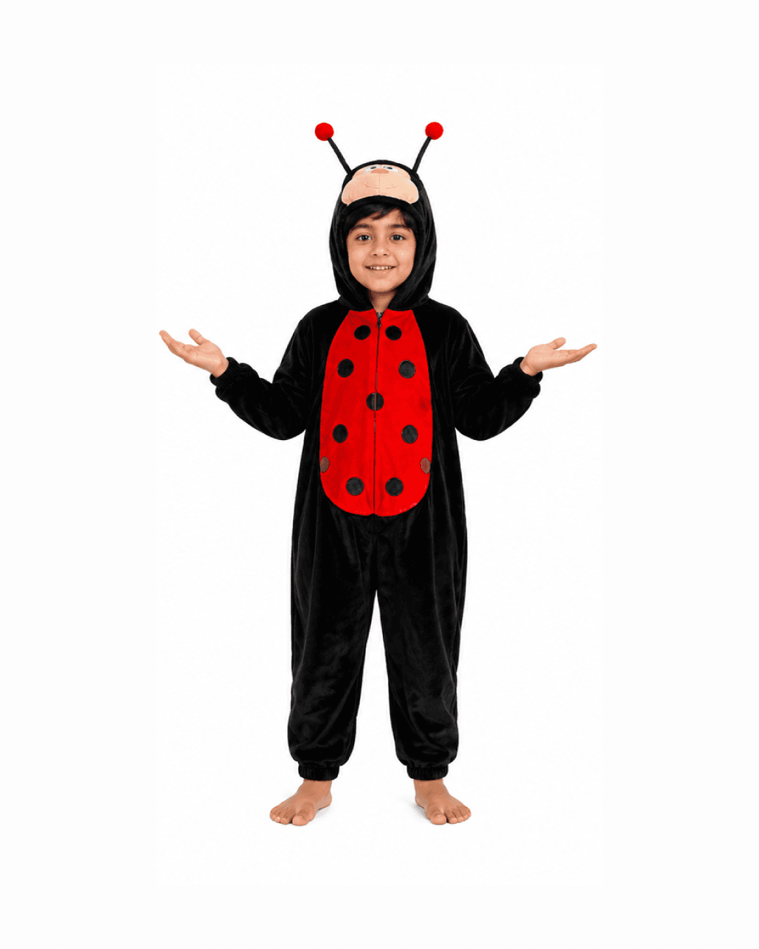 Ladybug Hooded Fancy Dress