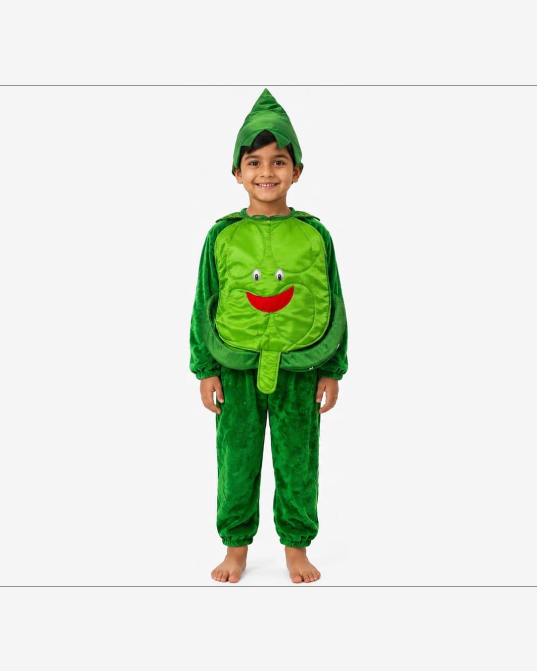 Cabbage Fancy Dress