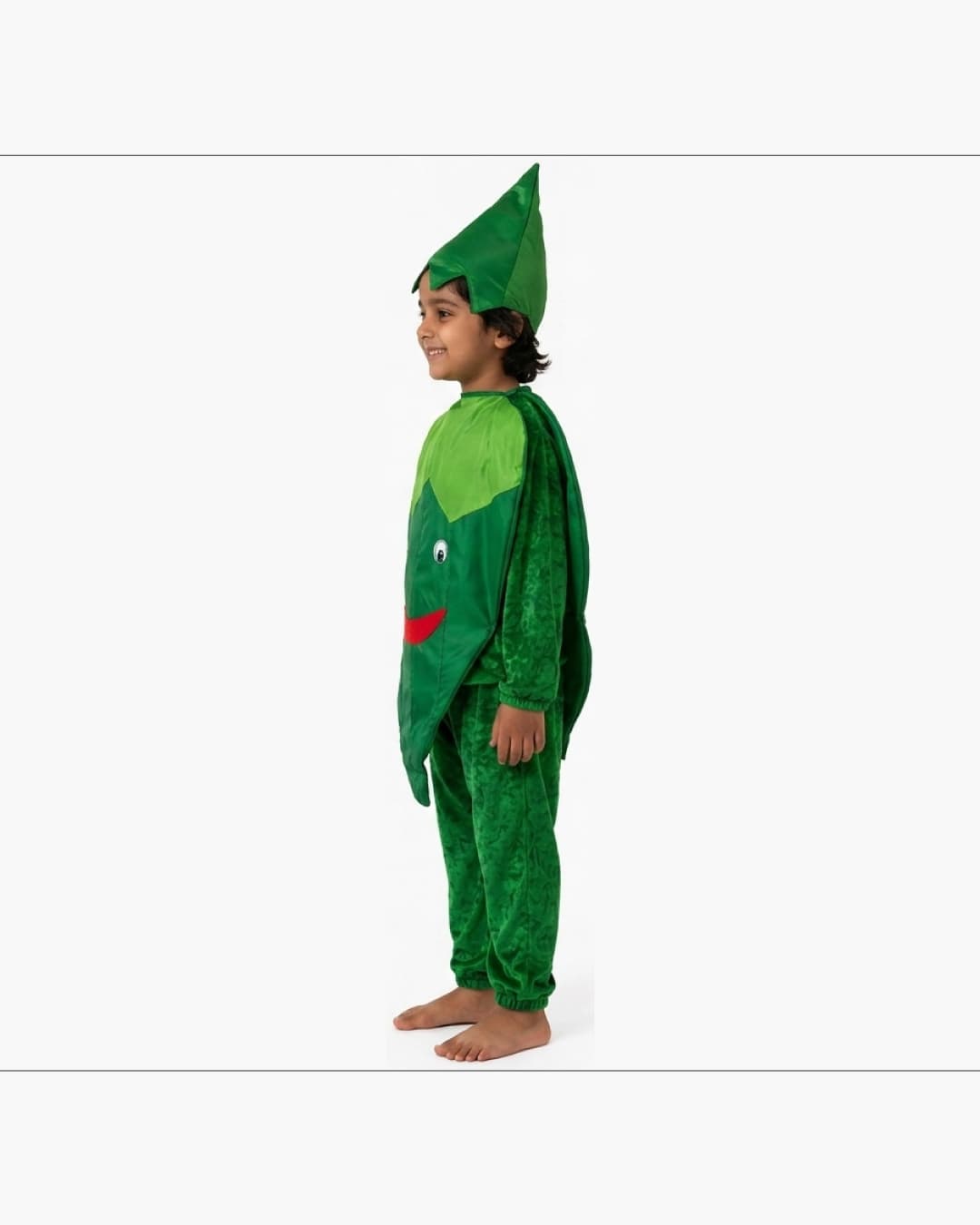 Ladyfinger Fancy Dress thumbnail 2