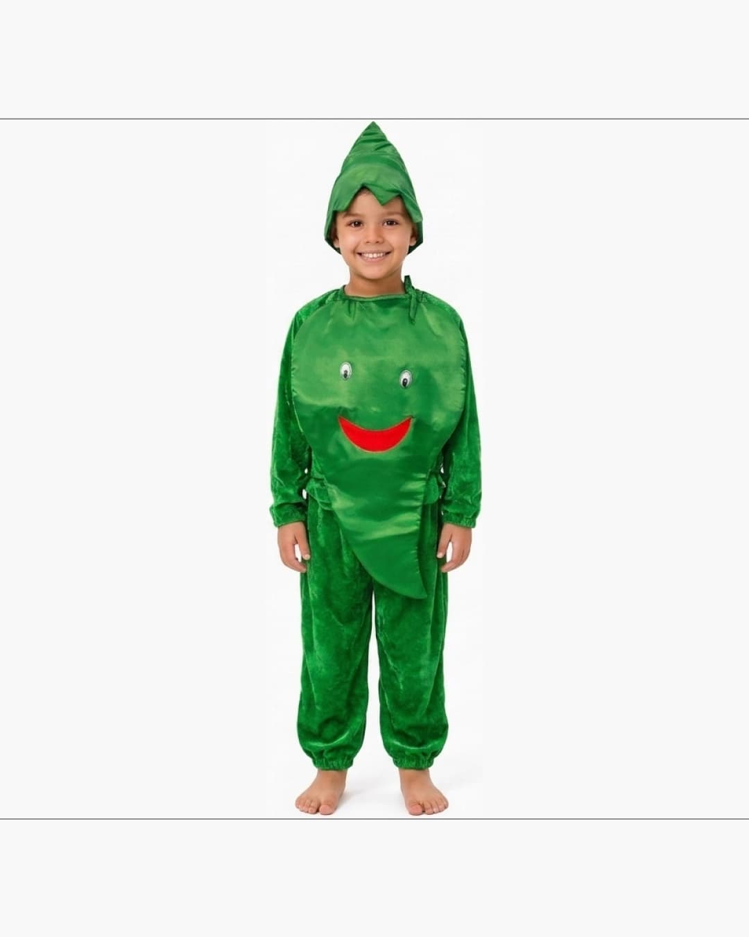 Green Chilli Fancy Dress