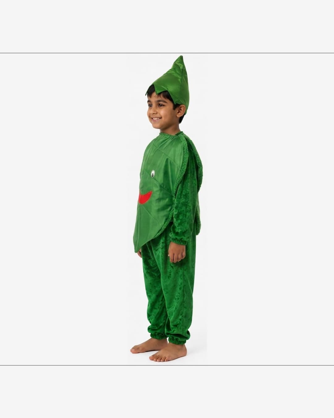 Spinach (Palak) Fancy Dress thumbnail 2