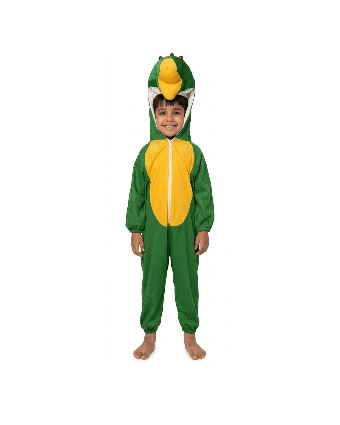 Dark Green Frog Fancy Dress