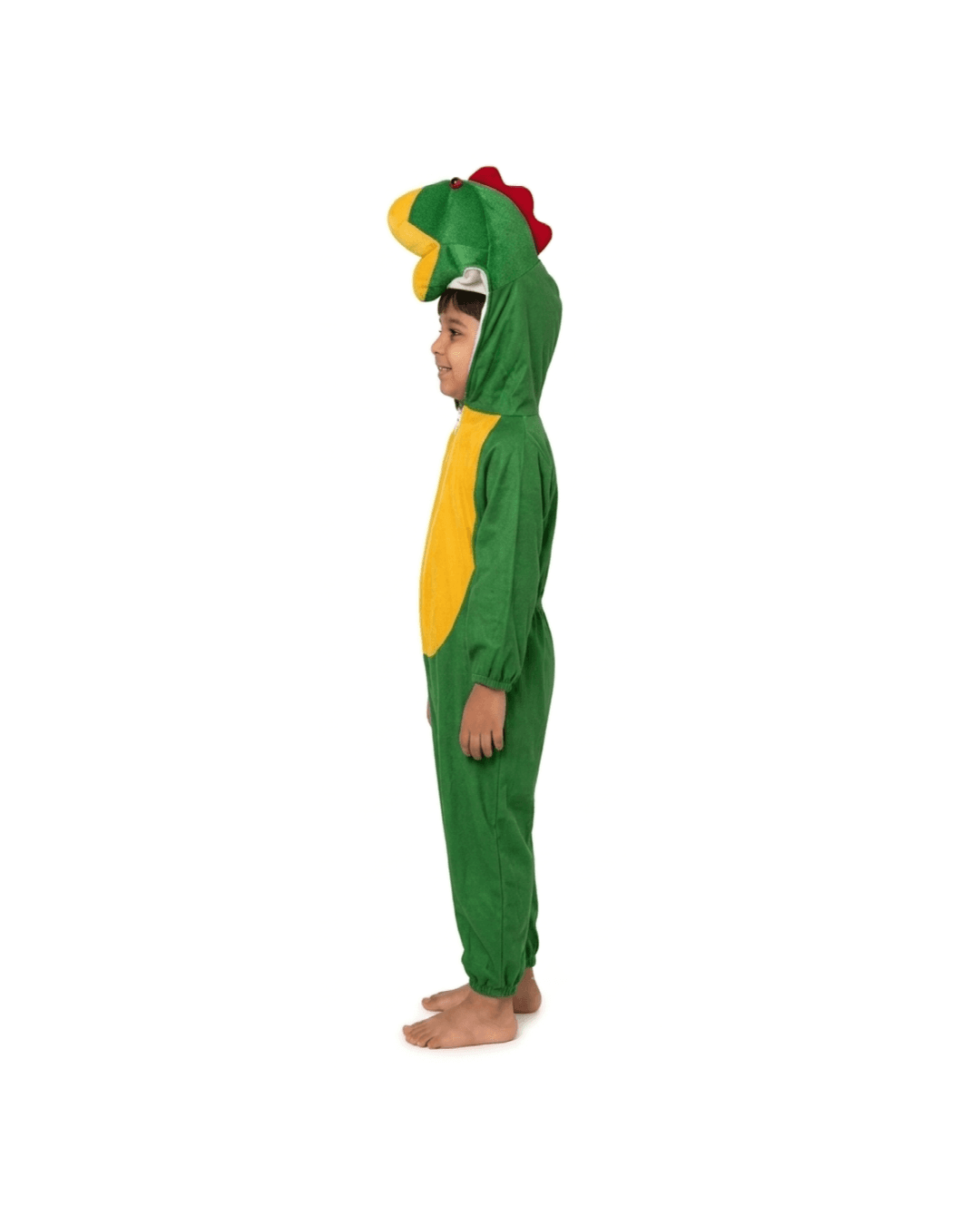 Dark Green Frog Fancy Dress thumbnail 2