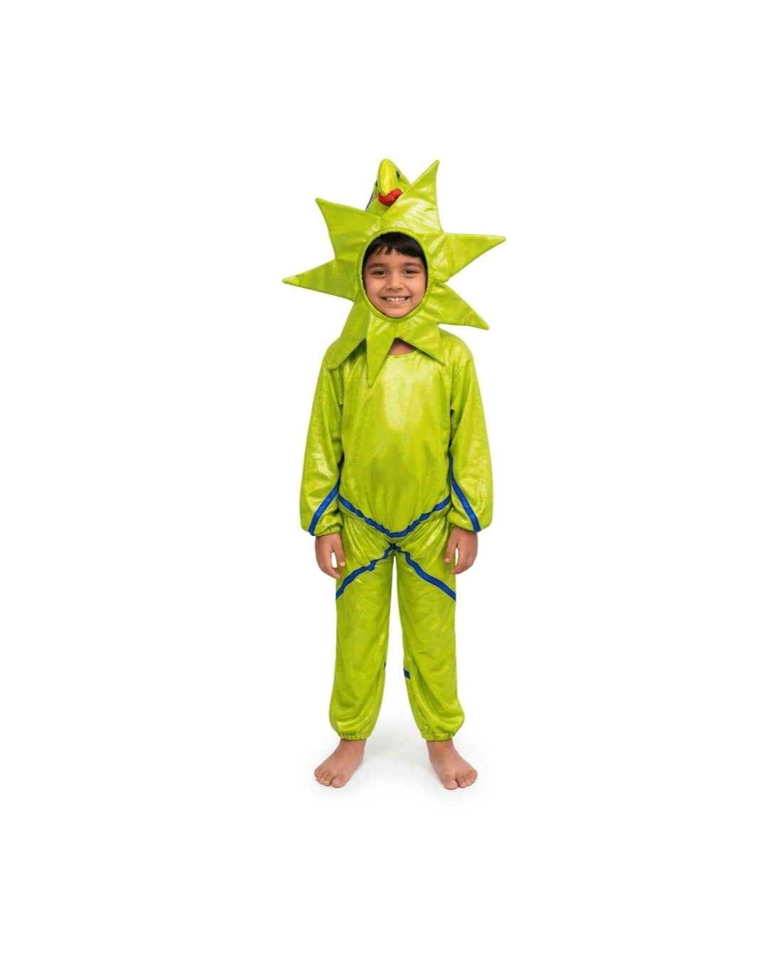 Starfish Fancy Dress