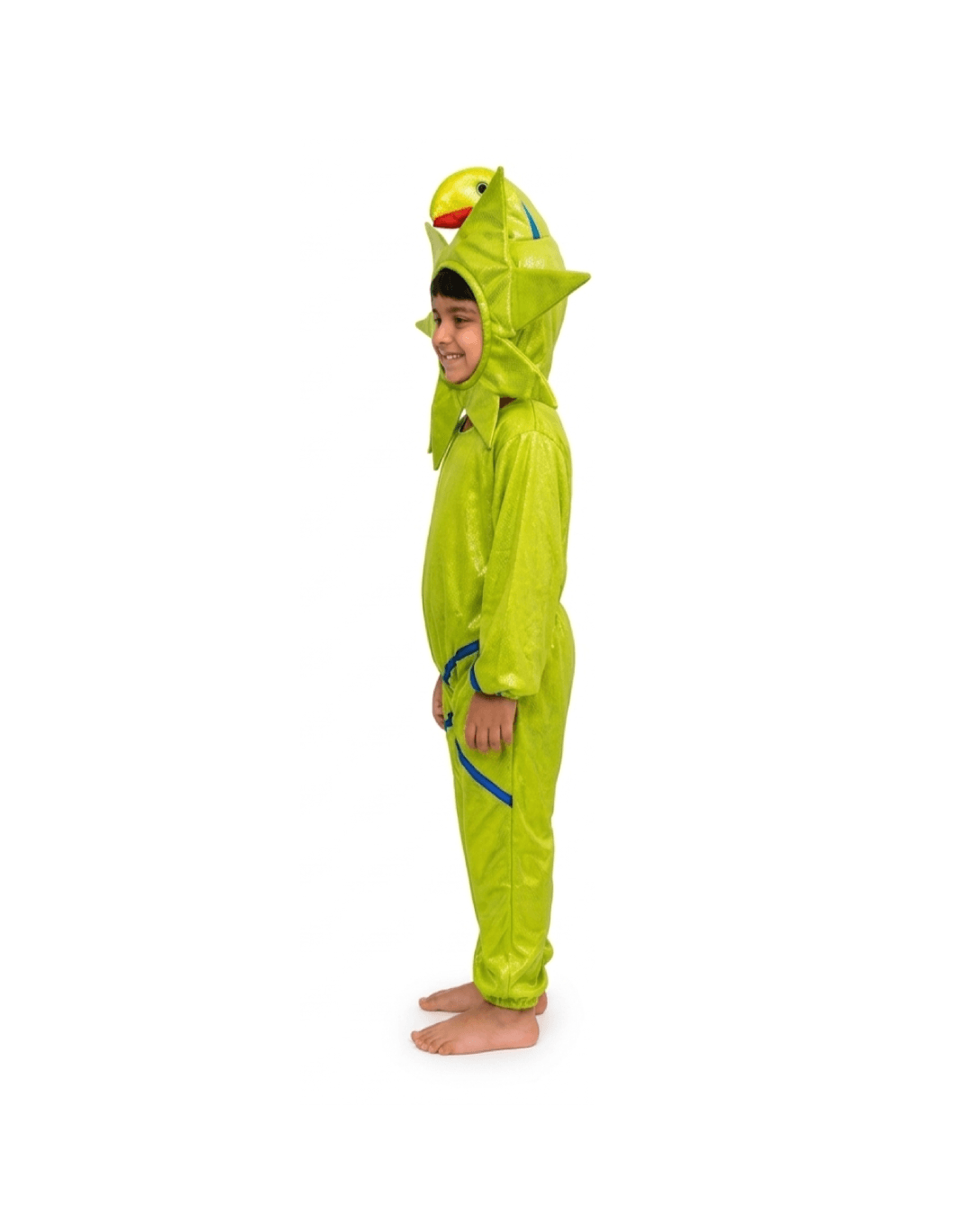 Starfish Fancy Dress thumbnail 2