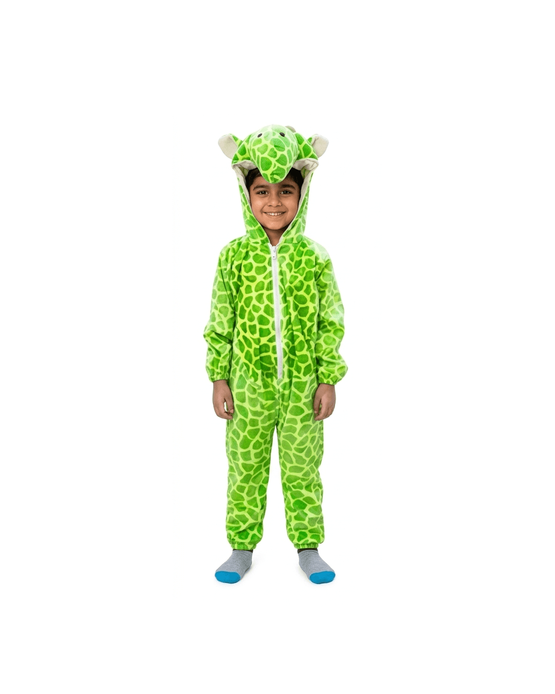Tortoise Fancy Dress