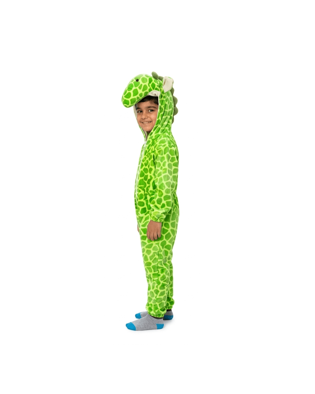 Tortoise Fancy Dress thumbnail 2