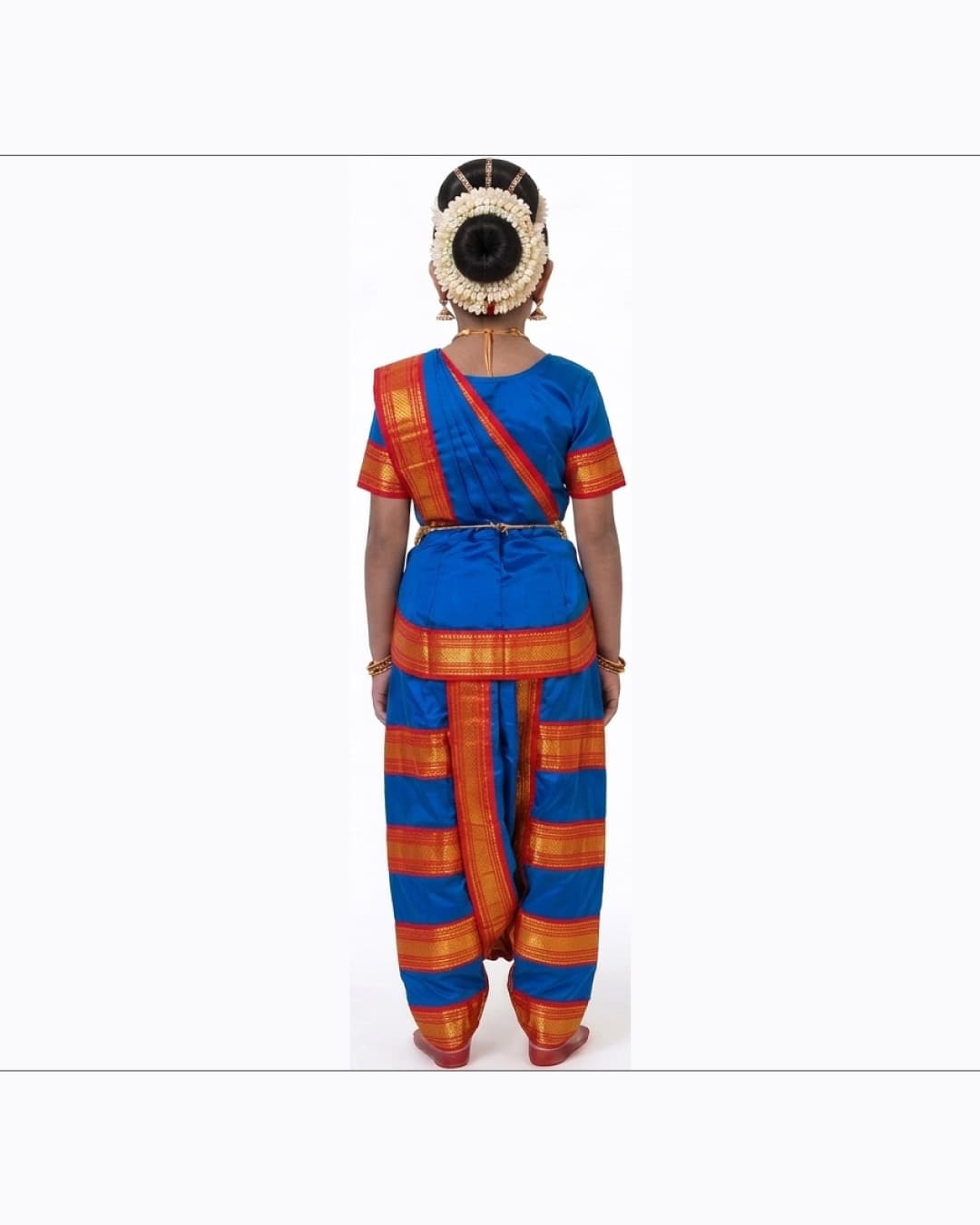 Bharatanatyam Blue Heavy Fancy Dress thumbnail 3