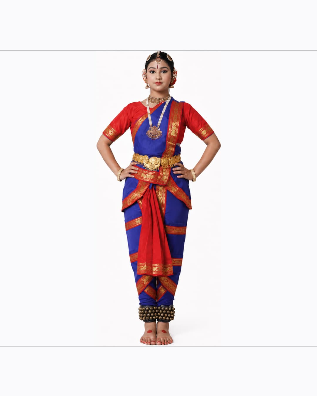 Bharatanatyam Red Blue Heavy Fancy Dress